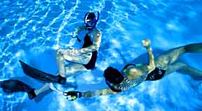 Underwater Hockey