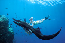 Diver with manta