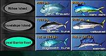 species_lo.jpg (7472 bytes)