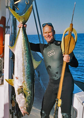 gebbard_yellowtail.jpg (29102 bytes)