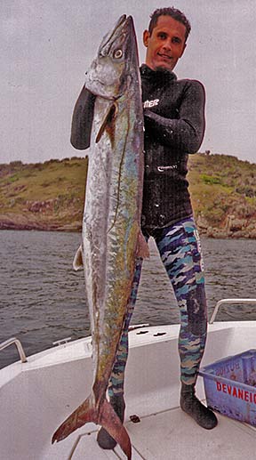 mackerel-king-querino.jpg (32064 bytes)