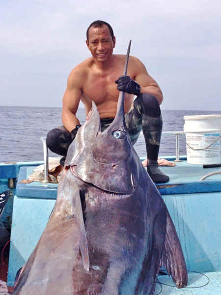 blue marlin spearfishing record, IBSRC