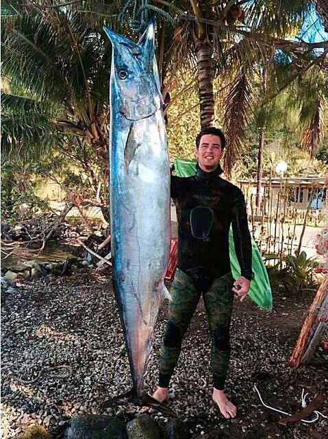 wahoo-4.jpg (361559 bytes)