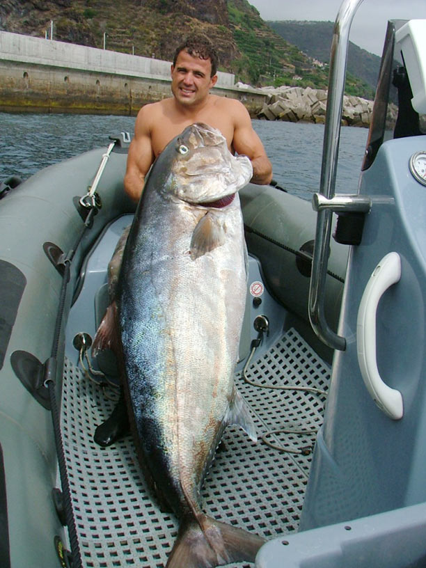 Greater Amberjack spearfishing record, IBSRC