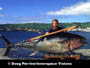 Record bluefin tuna, Atlantic. Paulo Gaspar