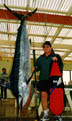 Striped marlin record, Chris Brown