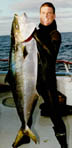 Yellowtail, North American, Ron Mullins