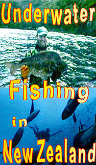 Cover of Spearfishing New Zealand video(43209 bytes)